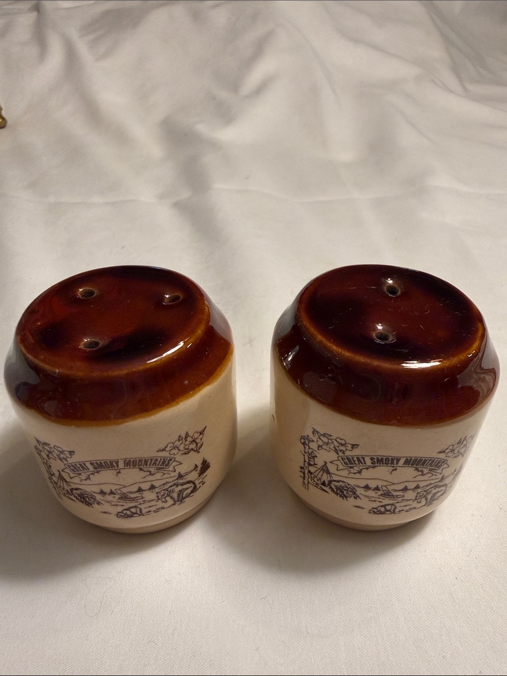 NWOT Vintage Brown and Cream Ceramic Salt & Pepper Set with Great Smoky Mountain
